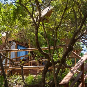 Lacona Pineta Vakantiepark