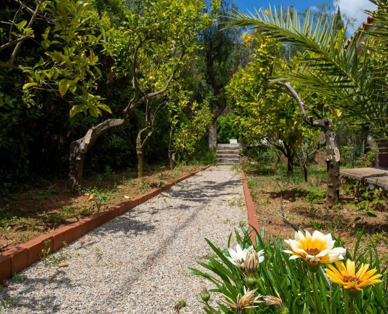 Villa Gelsomini Capoliveri  Capoliveri (Isola d'Elba)