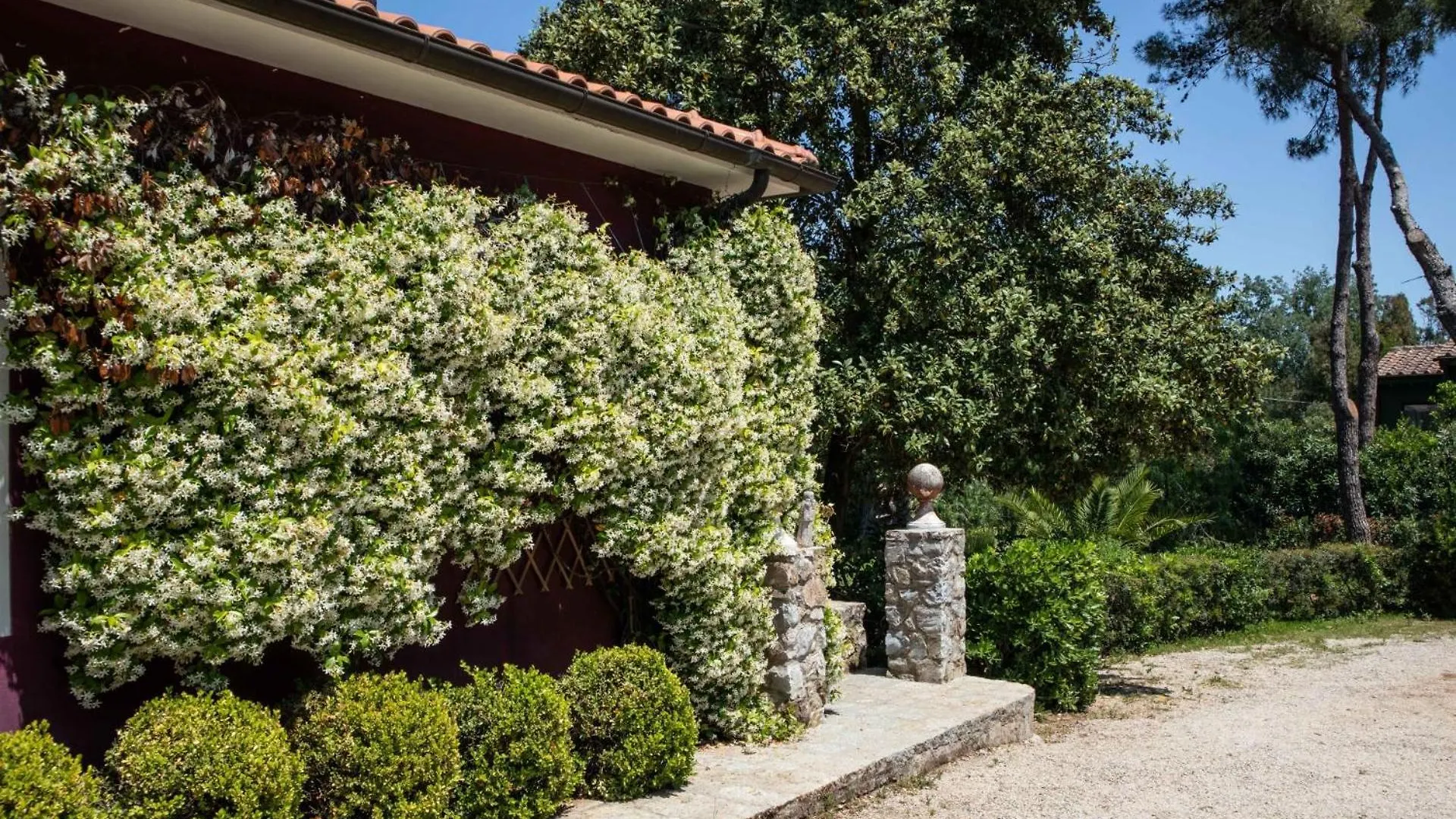 Villa Gelsomini Capoliveri   Capoliveri (Isola d'Elba)